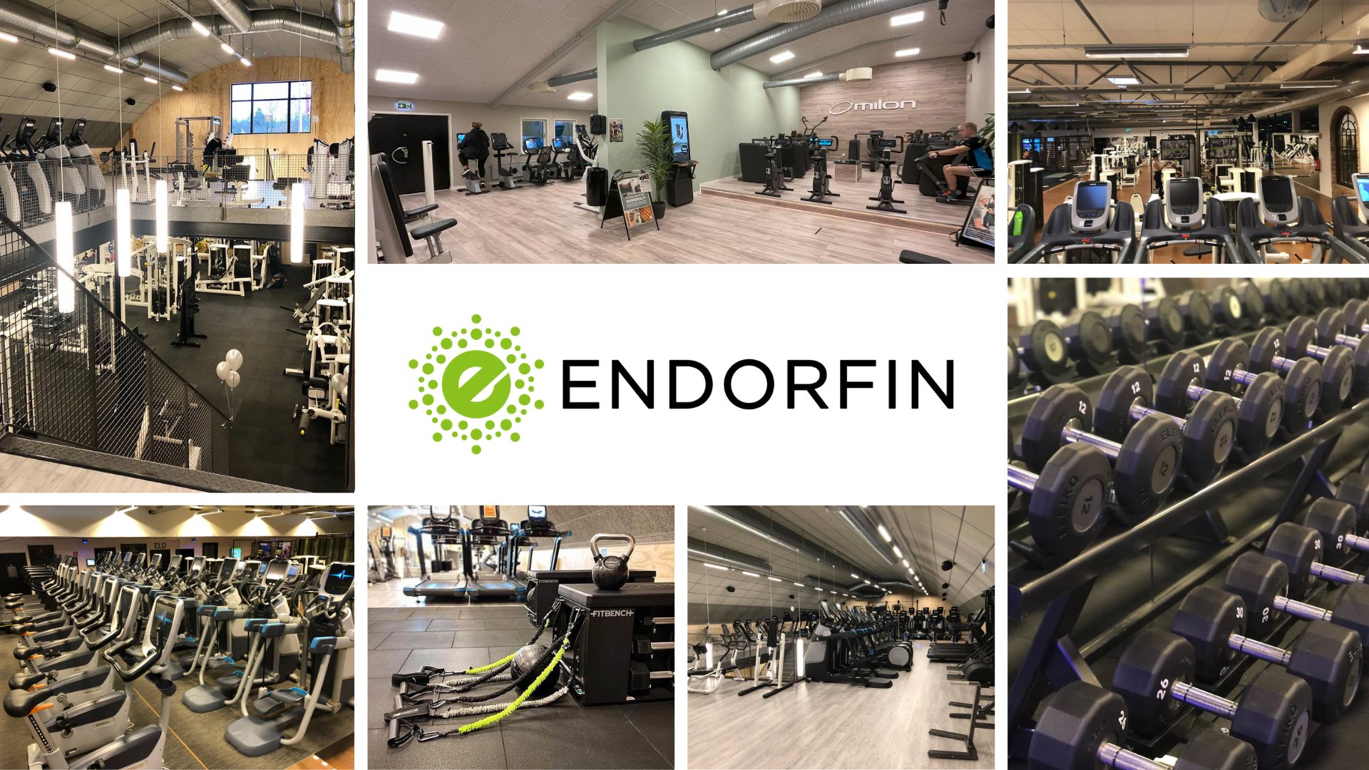 Collage med sex bilder som visar interiören av ENDORFIN gymmet. Överst finns tre bilder: till vänster en vy över ett område med konditionsmaskiner, i mitten cyklar och roddmaskiner i rad, och till höger en man som står bredvid löpband med armarna i kors. I mitten finns gymmets logotyp. Nederst finns tre bilder: till vänster en vy över ett viktlyftningsområde, i mitten en rad med hantlar och en gul kettlebell märkt 'ELEIKO 16', och till höger en del av gymmet med olika träningsmaskiner och gröna växter.
